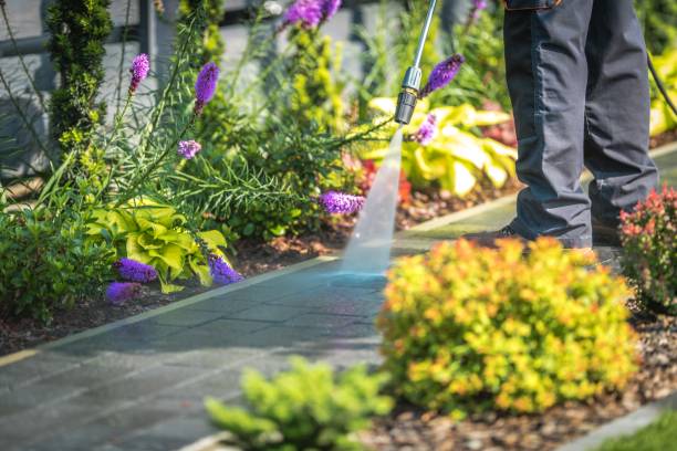 Best Pre-Holiday Cleaning  in Fort Madison, IA